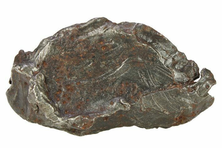 Sikhote-Alin Iron Meteorite Shrapnel ( g) - Russia #287723